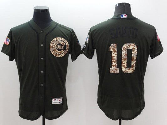 Men/Women/Youth Chicago Cubs Ron Santo  #10 baseball Jerseys
