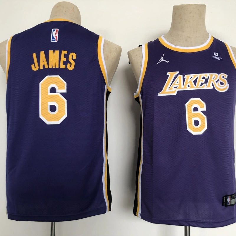 Kids Los Angeles Lakers James NO.6 Basketball Jersey