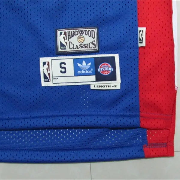 Detroit Pistons Dennis Rodman NO.10 Basketball Jersey