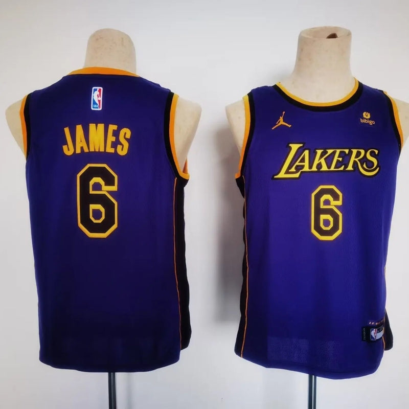 Kids Los Angeles Lakers James NO.6 Basketball Jersey