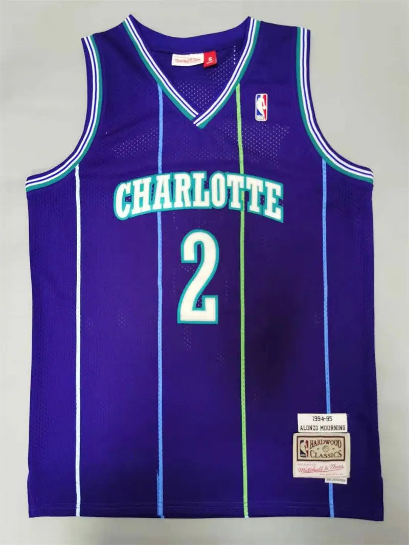 Charlotte Hornets Larry Johnson NO.2 Basketball Jersey