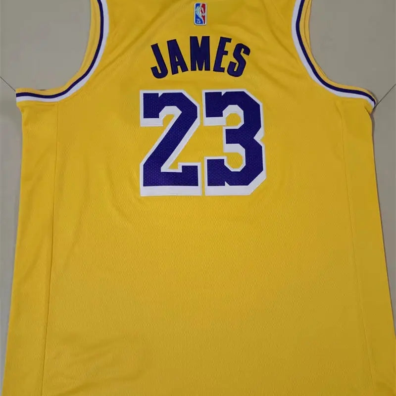 Los Angeles Lakers Lebron James NO.23 Basketball Jersey