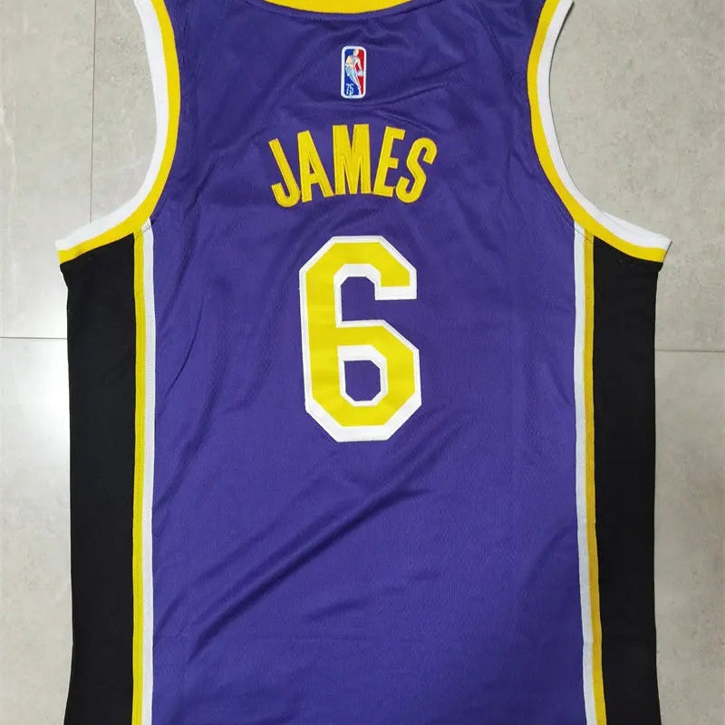 Los Angeles Lakers Lebron James NO.6 Basketball Jersey