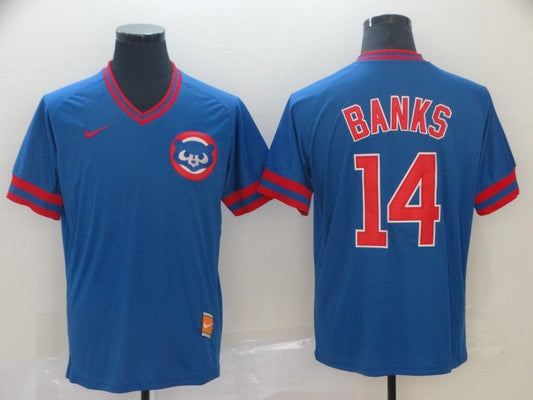 Men/Women/Youth Chicago Cubs Ernie Banks #14 baseball Jerseys