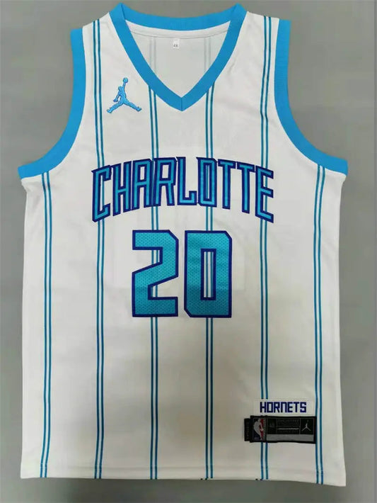 Charlotte Hornets Gordon Hayward NO.20 Basketball Jersey