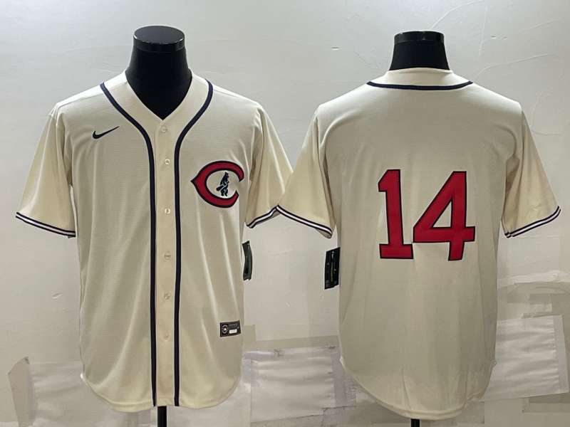 Men/Women/Youth Chicago Cubs Ernie Banks #14 baseball Jerseys