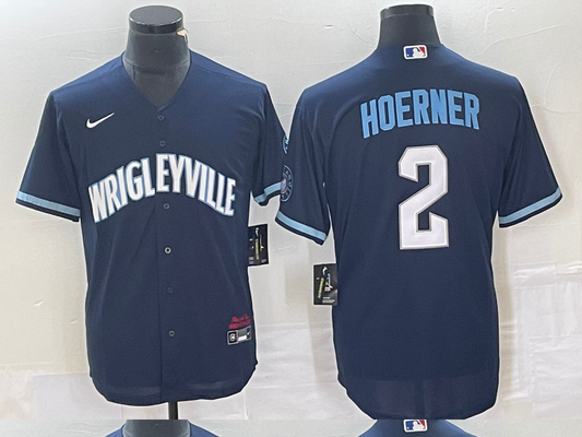 Men/Women/Youth Chicago Cubs Nico Hoerner  #2 baseball Jerseys