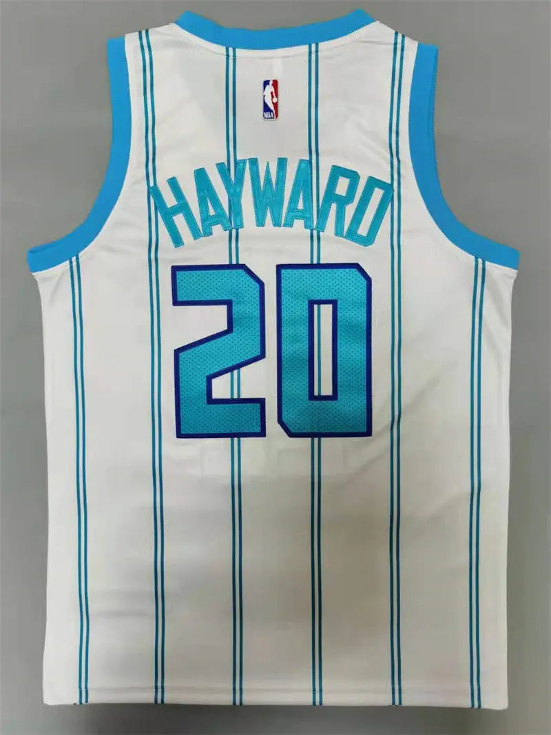 Charlotte Hornets Gordon Hayward NO.20 Basketball Jersey