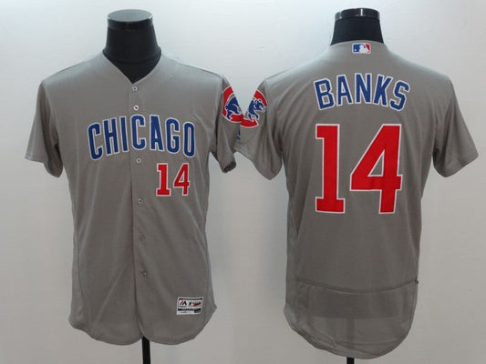 Men/Women/Youth Chicago Cubs Ernie Banks #14 baseball Jerseys