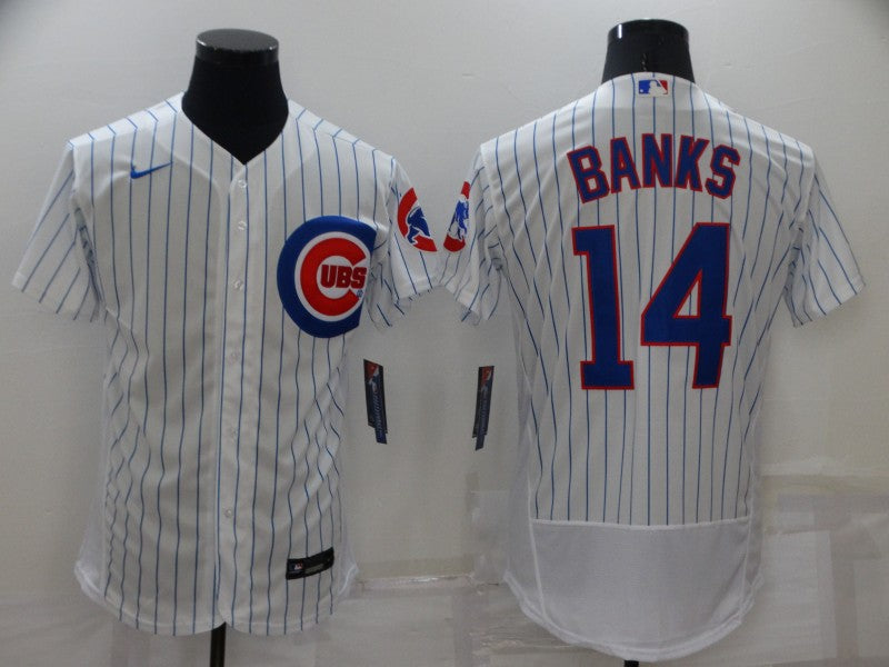 Men/Women/Youth Chicago Cubs Ernie Banks #14 baseball Jerseys