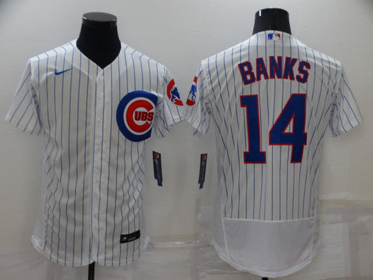 Men/Women/Youth Chicago Cubs Ernie Banks #14 baseball Jerseys
