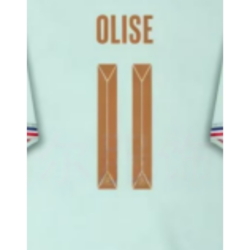 France Mint White World cup Soccer Jersey | National Away Fan Shirt