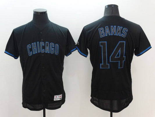 Men/Women/Youth Chicago Cubs Ernie Banks #14 baseball Jerseys