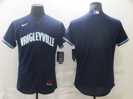 Men/Women/Youth Chicago Cubs baseball Jerseys blank or custom your name and number