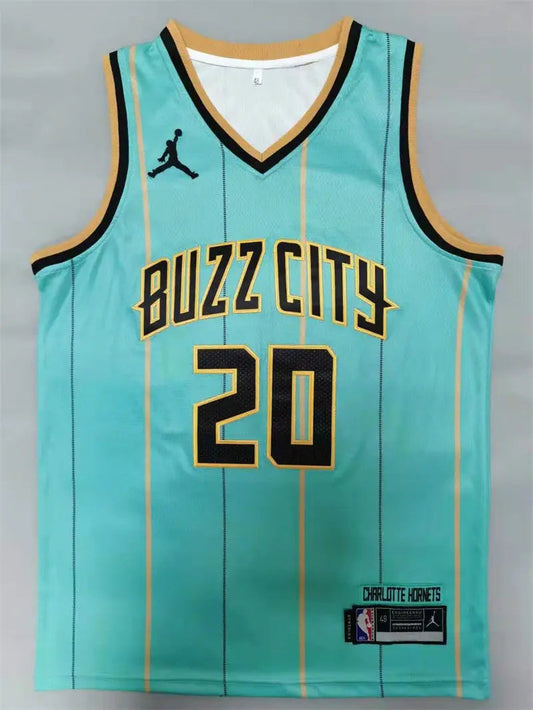 Charlotte Hornets Gordon Hayward NO.20 Basketball Jersey