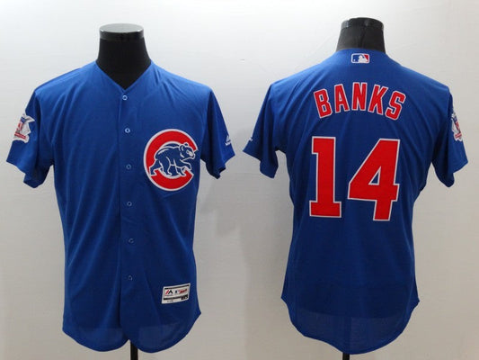 Men/Women/Youth Chicago Cubs Ernie Banks #14 baseball Jerseys
