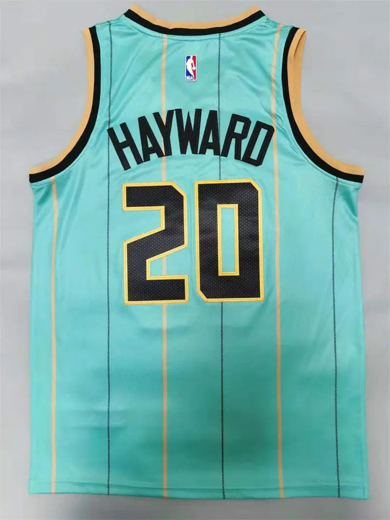 Charlotte Hornets Gordon Hayward NO.20 Basketball Jersey